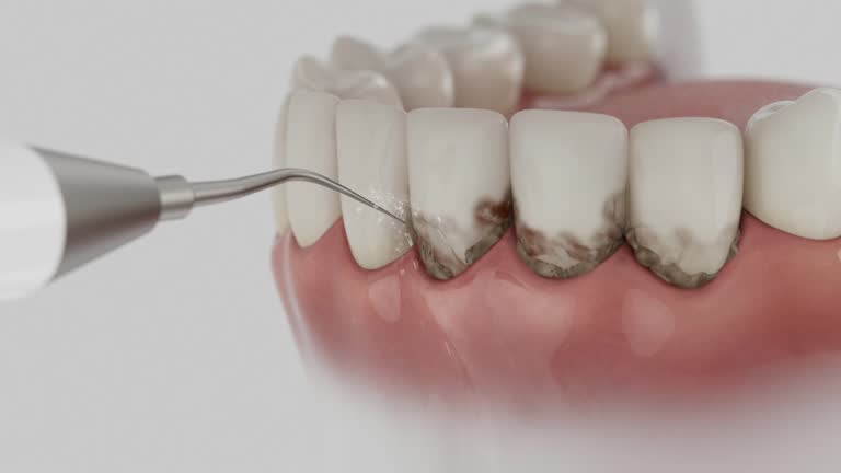 Reliable Dental contractor in Pomeroy, OH by Dentist Open Now
